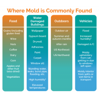 DIAGNOSING MOLDS, MYCOTOXINS, AND THINGS THAT GO BUMP IN THE NIGHT