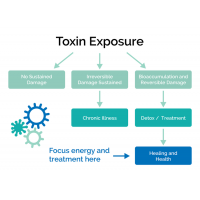 IDENTIFYING AND TREATING MOLD TOXIN INDUCED ILLNESS WITH MYCOTOX PROFILE