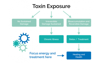 IDENTIFYING AND TREATING MOLD TOXIN INDUCED ILLNESS WITH MYCOTOX PROFILE