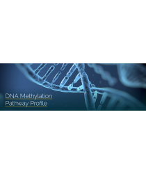 DNA Methylation Pathway Profile Test by GPL