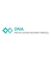 DNA Methylation Pathway Profile