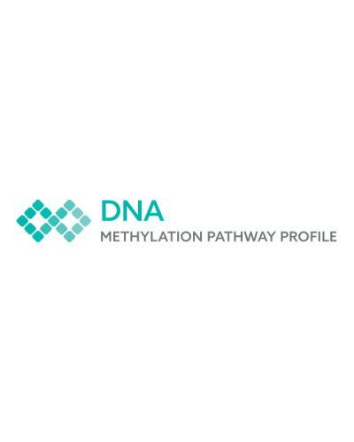 DNA Methylation Pathway Profile ( US Parents Only)