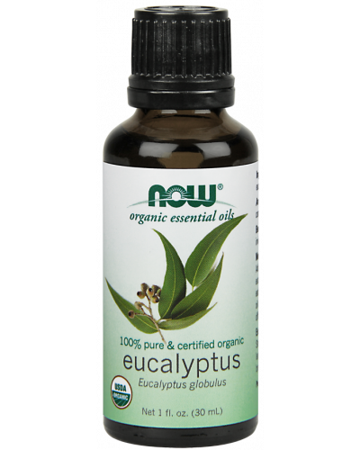 Eucalyptus Globulus Oil 1 fl. oz.