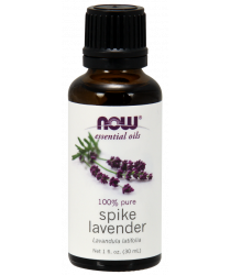 Spike Lavender Oil 1 fl. oz.