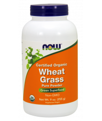 Wheat Grass Powder, Certified Organic