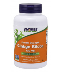 Ginkgo Biloba, Double Strength 120 mg 100 Veg Capsules