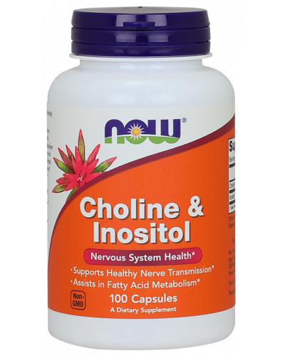Choline & Inositol 500 mg Capsules