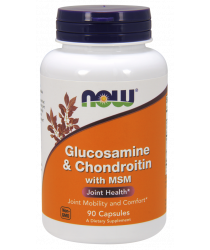 Glucosamine & Chondroitin with MSM 90 Capsules