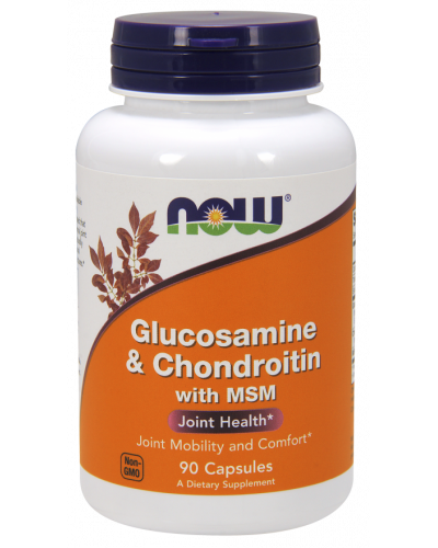 Glucosamine & Chondroitin with MSM 90 Capsules