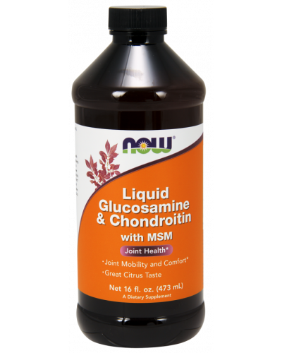 Glucosamine & Chondroitin with MSM Liquid 16 fl. oz