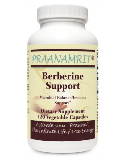 Berberine Support- 120 Veg Caps