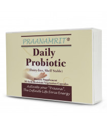 Daily Probiotic (Dairy free, Shelf Stable)