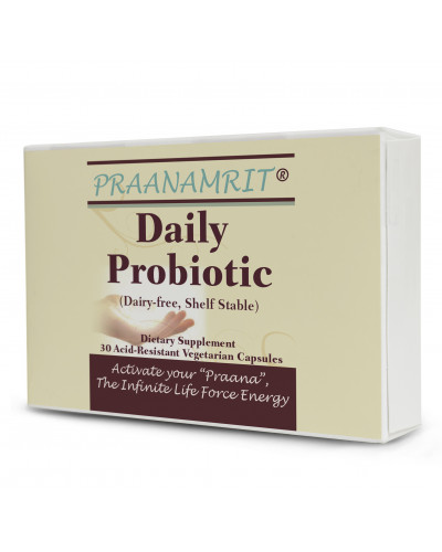 Daily Probiotic (Dairy free, Shelf Stable)