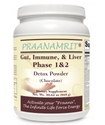 Gut Immune Liver Phase 1&2 Detox Powder -Creamy Chocolate