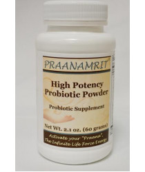 High Potency Probiotic Powder - 2 oz