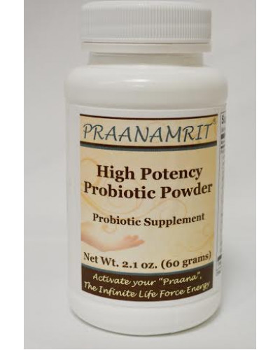 High Potency Probiotic Powder - 2 oz