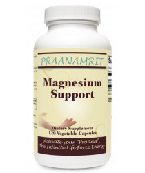 Magnesium Support - 120 Veg Caps