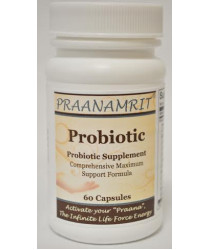 Probiotic Capsules - 60 Caps