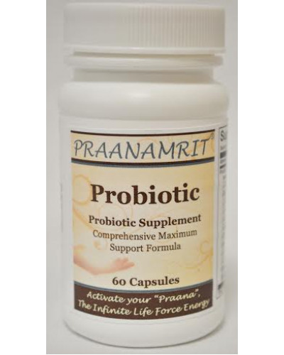 Probiotic Capsules - 60 Caps