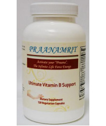 Ultimate Vitamin B Support - 120 Veg Caps
