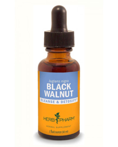 Black Walnut Extract Liquid
