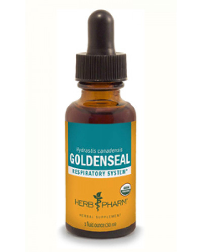 GoldenSeal Extract Liquid